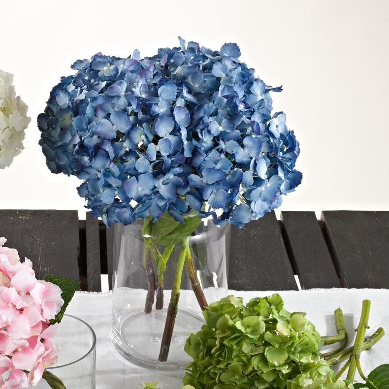 Hydrangea | Wayfair North America