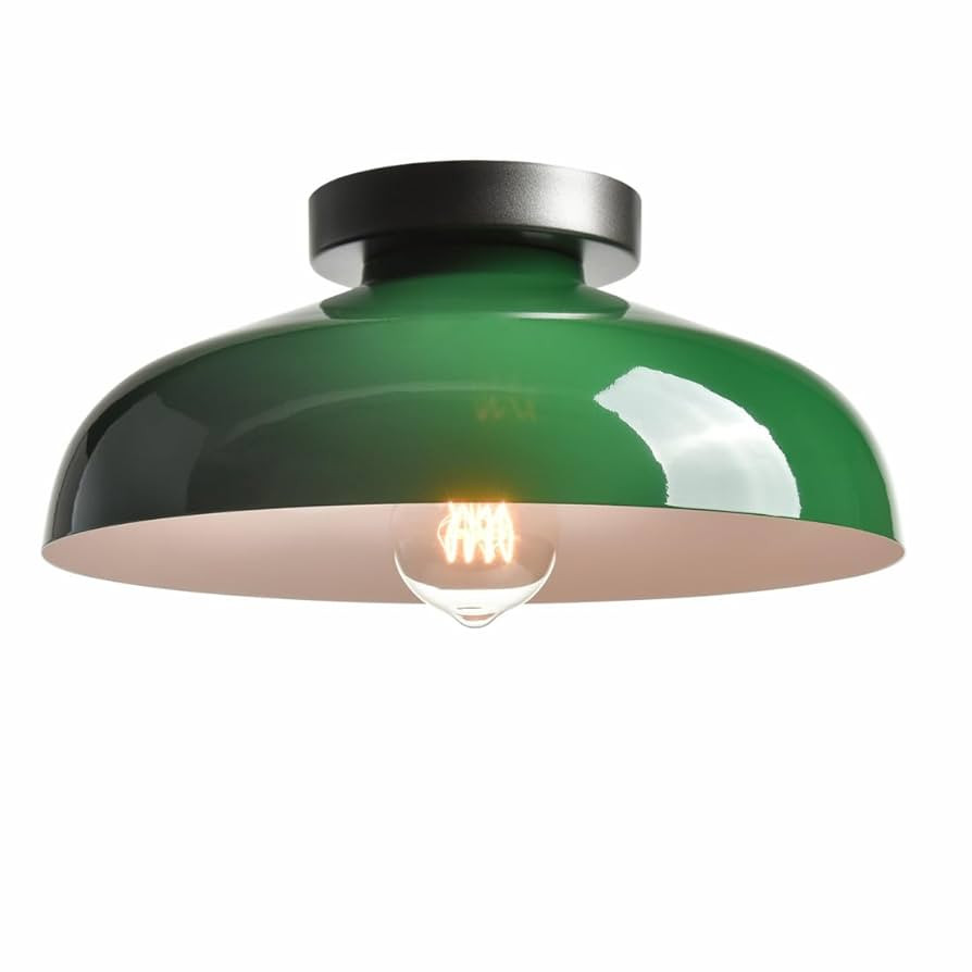 DIRYZON Modern Green Ceiling Light, Macarons Kitchen Lighting Fixtures, Industrial Metal 12-Inch ... | Amazon (US)