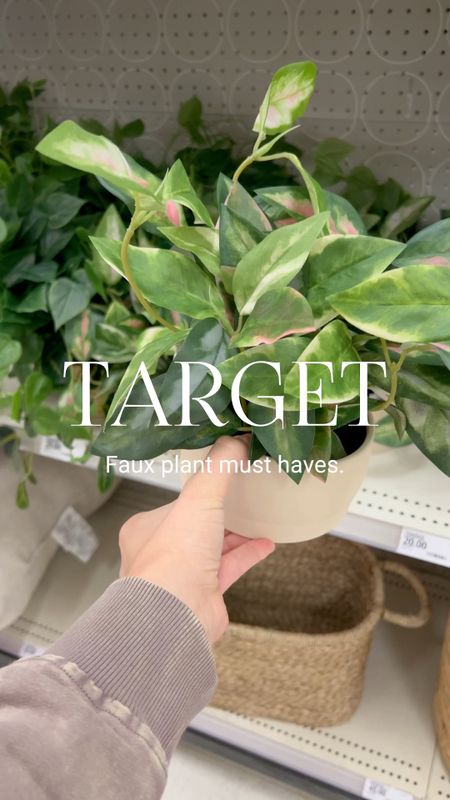 This one is for all you plant killers out there. You know who you are. Buy the faux. 🪴 #fauxplants #targethome #targetstyle #plantlover #competition 

#LTKFind #LTKhome #LTKGiftGuide