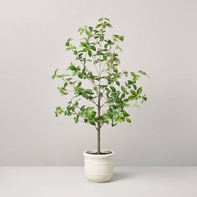 33" Faux Gypsophila Leaf Plant - Hearth & Hand™ with Magnolia | Target