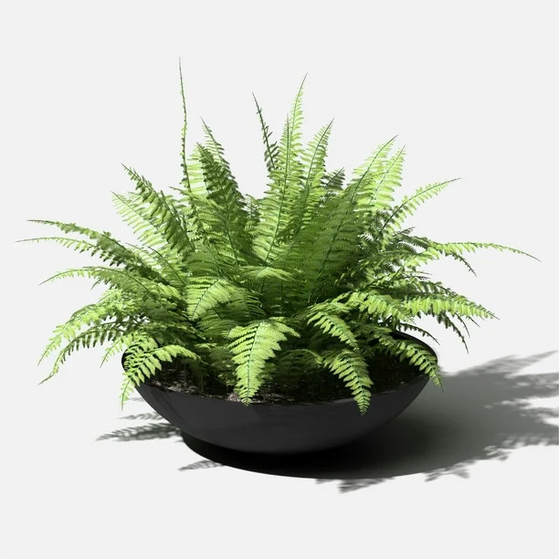 Veradek 24" Lane Bowl Round Planter - Black - Walmart.com | Walmart (US)