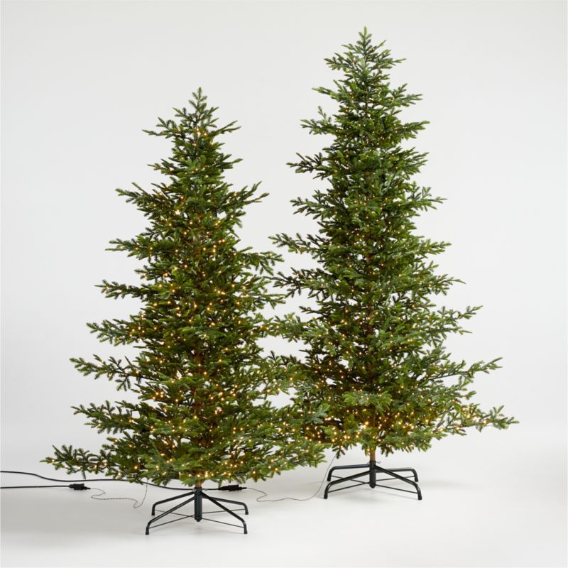 Faux Balsam Fir Pre-Lit LED Christmas Trees with White Lights | Crate & Barrel | Crate & Barrel