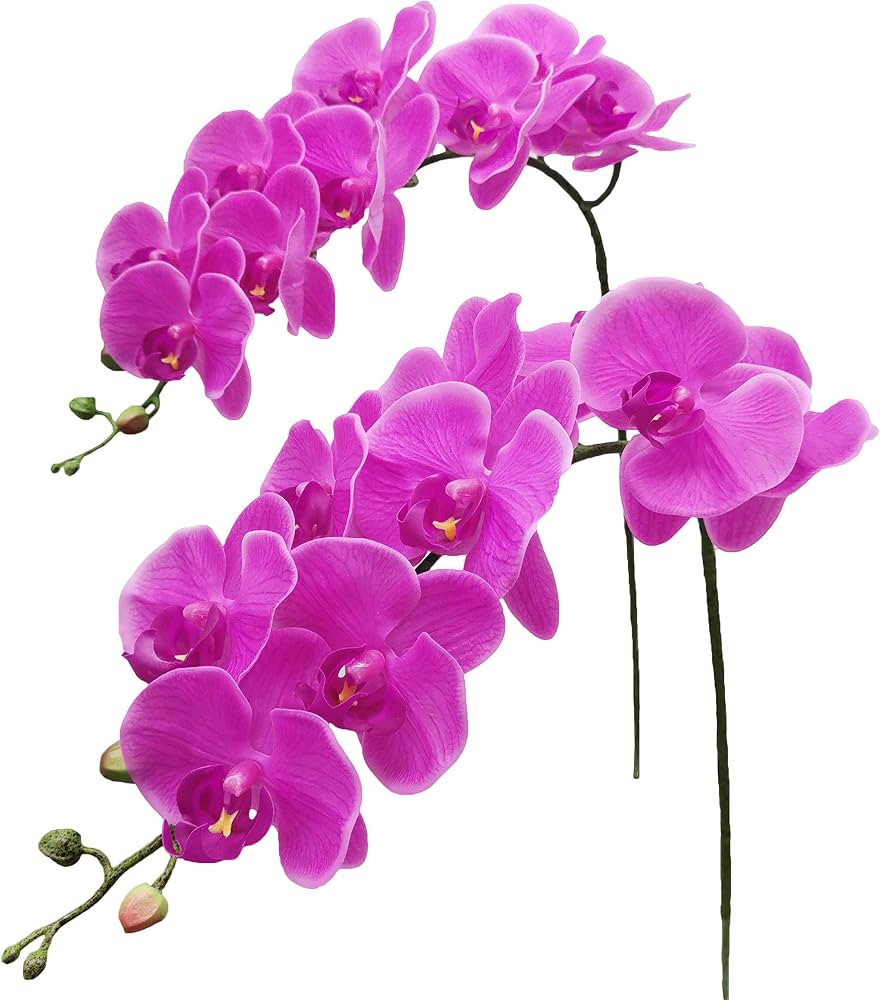 Fnize Artificial Orchid Stems Real Touch Latex Phalaenopsis Branches Faux Cymbidium Flowers 9 Lar... | Amazon (US)
