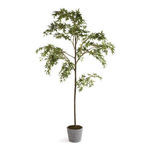 Faux Maple Tree in Pot, 84" | Scout & Nimble