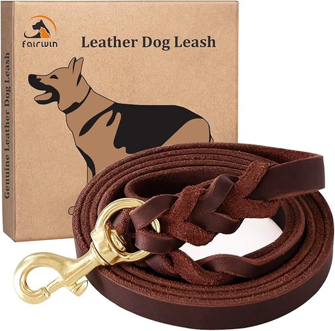 Fairwin Leather Dog Leash 6 Foot - Braided Best Military Grade Heavy Duty Dog Leash for Large Med... | Amazon (US)
