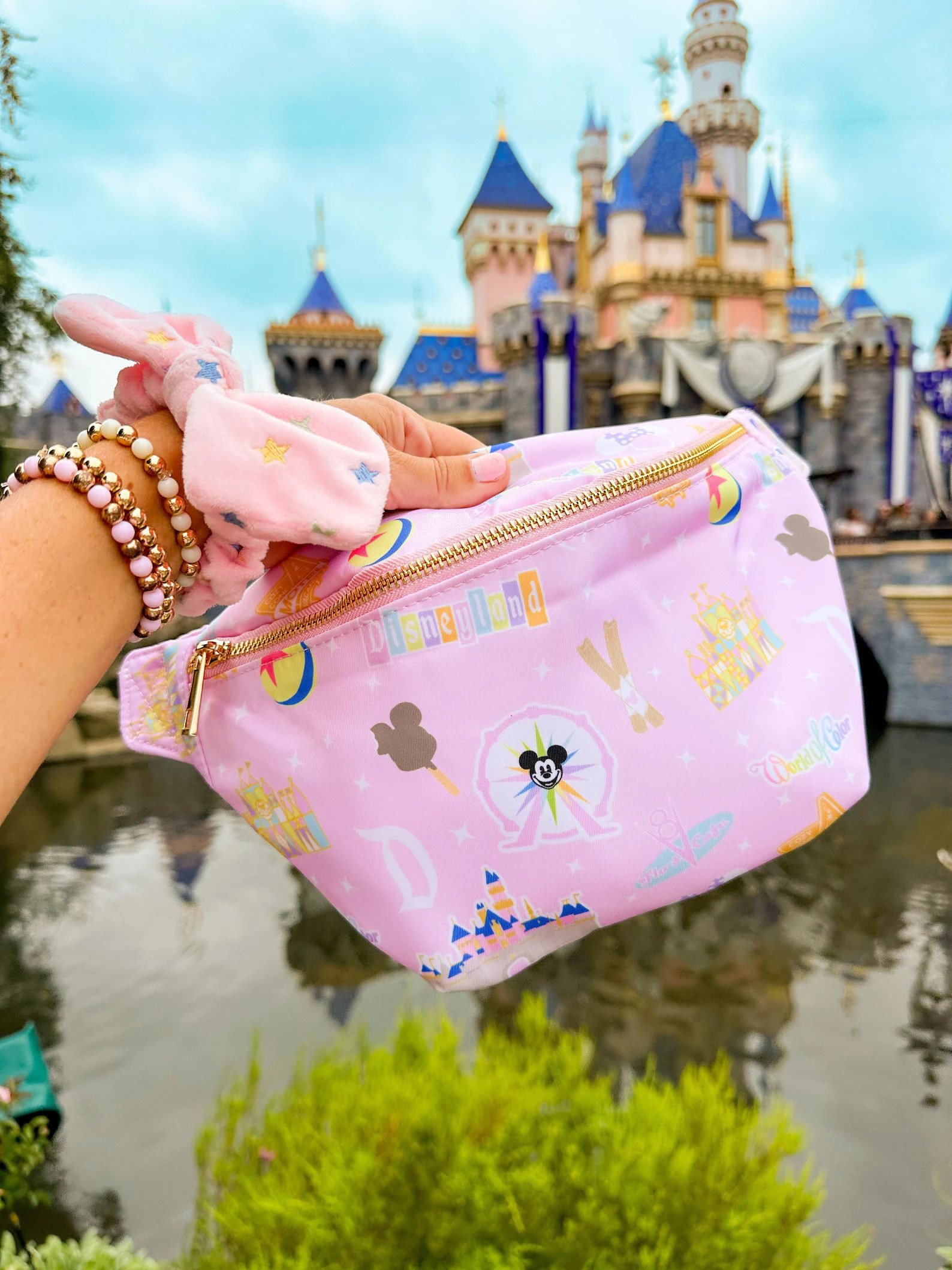 Disneyland Fanny Pack. Printed Fanny Pack. Fun Wheel Fanny Pack. Disney Vacation Jumbo Fanny Pack... | Etsy (US)