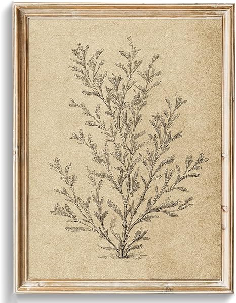 uniro Vintage Wall Art Prints, Retro Neutral Botanical Sketch Canvas Art Prints Painting, Antique... | Amazon (US)