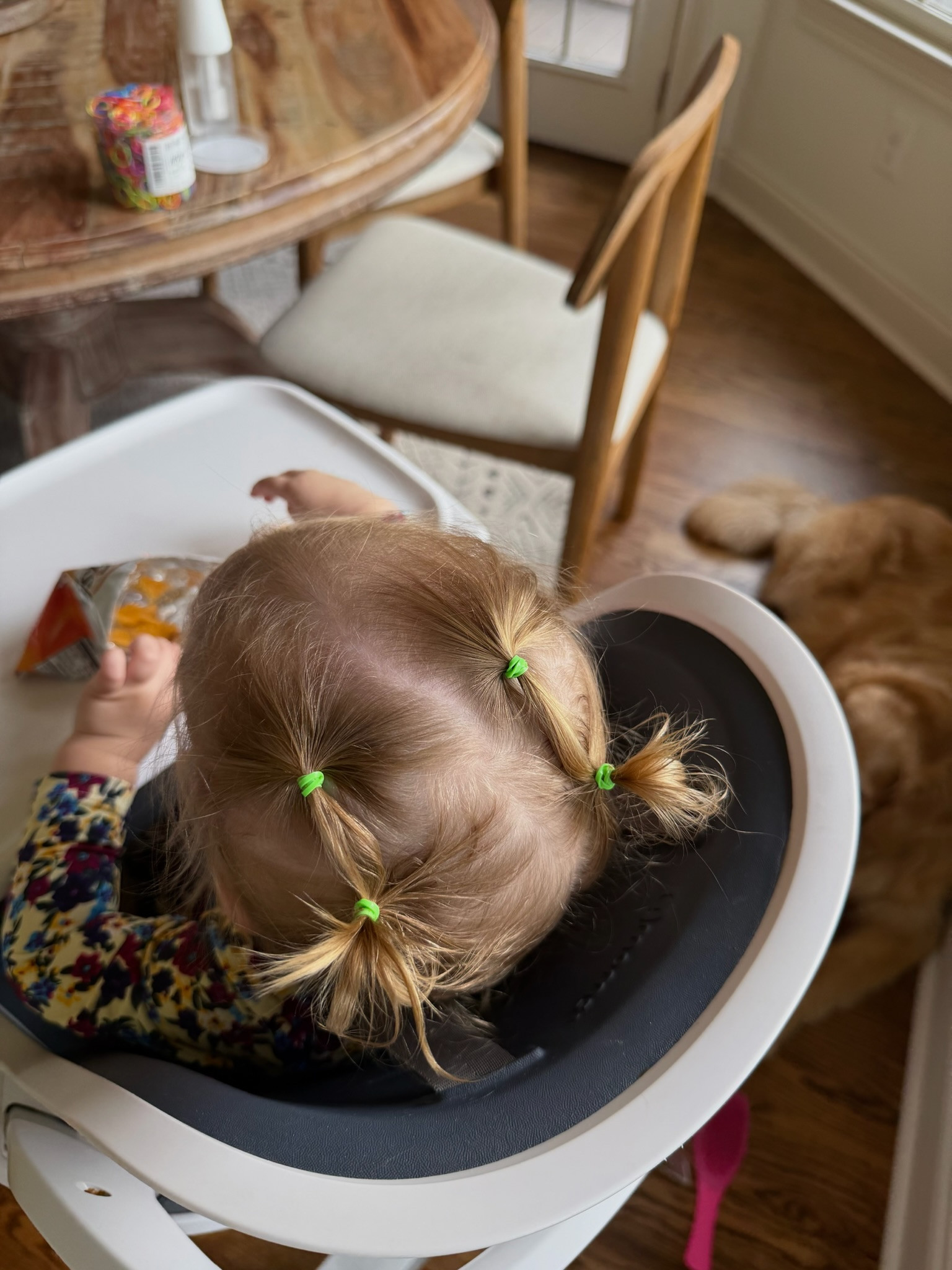 playing around with new hairstyles now that baby girl's hair is getting longer!🥹

baby girl hair | baby hair products | rubber band hair ties  

 #LTKmomlife #LTKBaby
