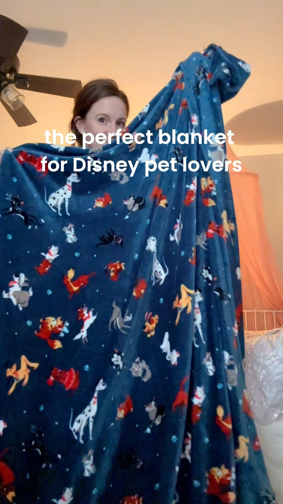 Yall this is the sweetest Disney blanket with all the iconic pets!!!! My favorite is Nana 🥹

#LTKFamily #LTKKids #LTKHome