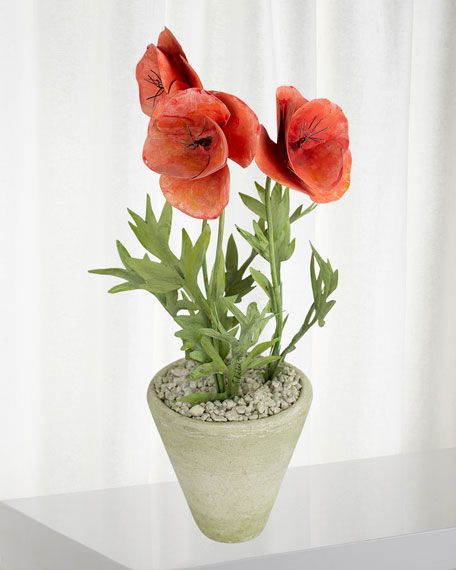 Charlotte Moss for Tommy Mitchell Poppy August Birth Flower in White Terracotta Pot | Bergdorf Goodman