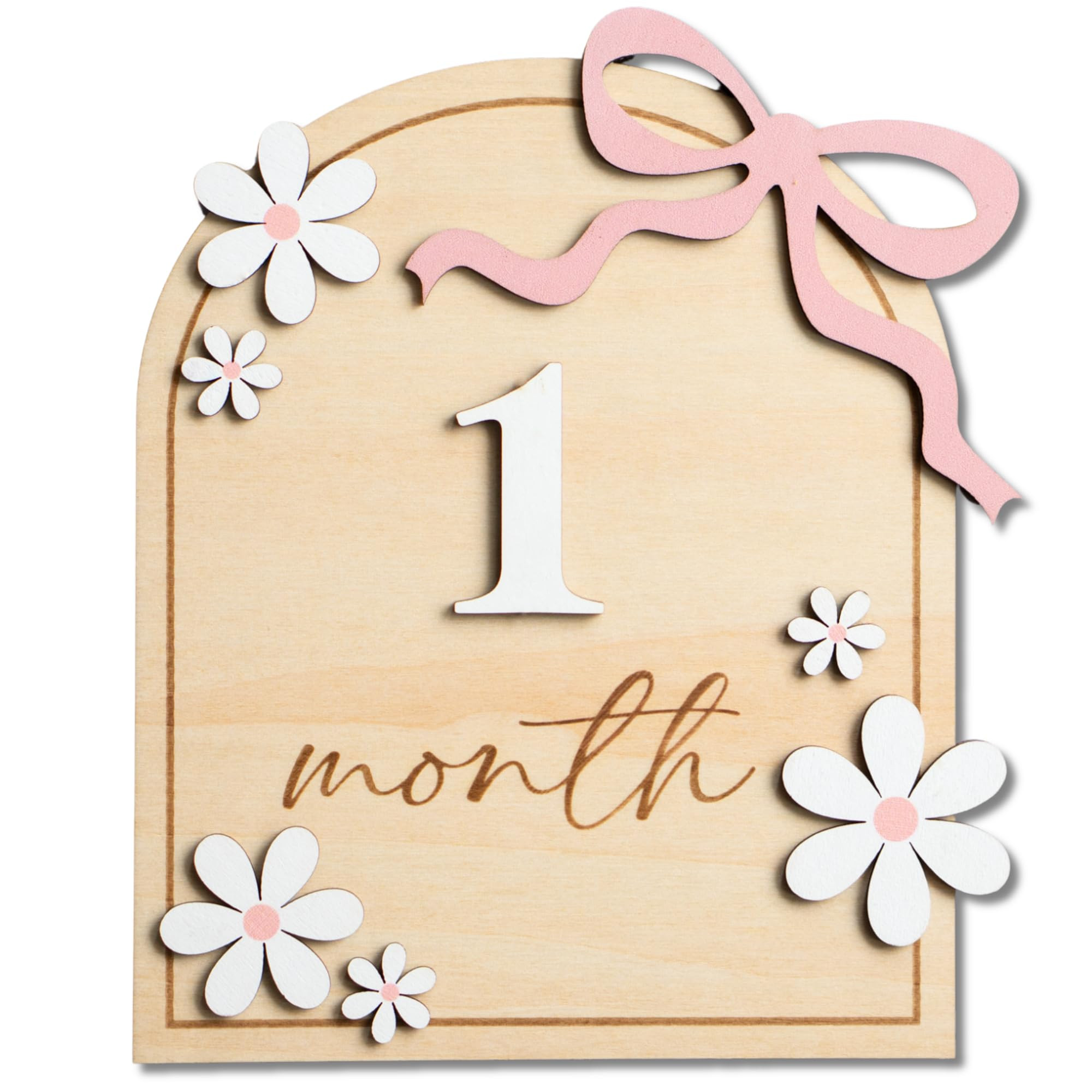 Baby Monthly Milestone Sign,1-12 Monthly Baby Milestone, Month Milestone Baby Girl, Baby Months M... | Amazon (US)
