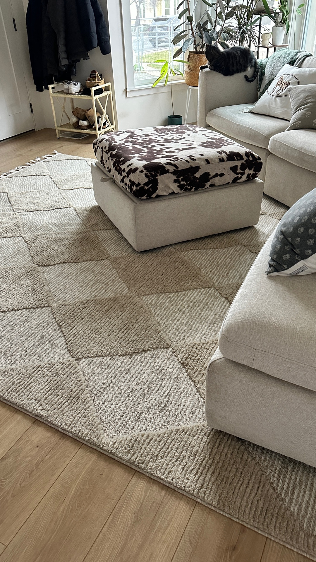 Cushiest and ohhh so soft and
Beautiful diamond check pattern rug
Thick and high quality
Get yours today my friends this one sells out the fastest!

#rug #homedecor #cozy

#LTKHoliday #LTKHome #LTKSaleAlert