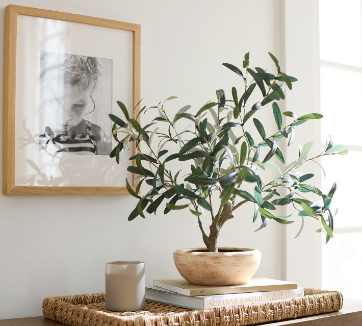 Faux Potted Olive House Plant | Pottery Barn (US)