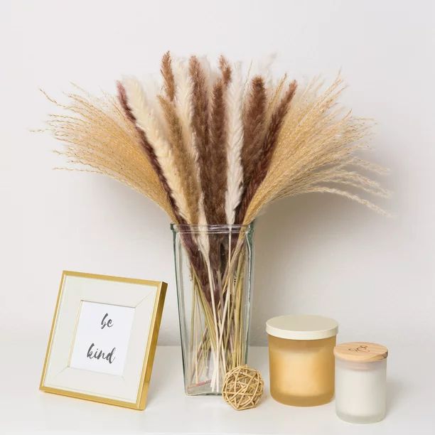 Pampas Grass Small Dried Flower Bouquet, Natural White and Brown Floral Arrangement, Fluffy Live ... | Walmart (US)