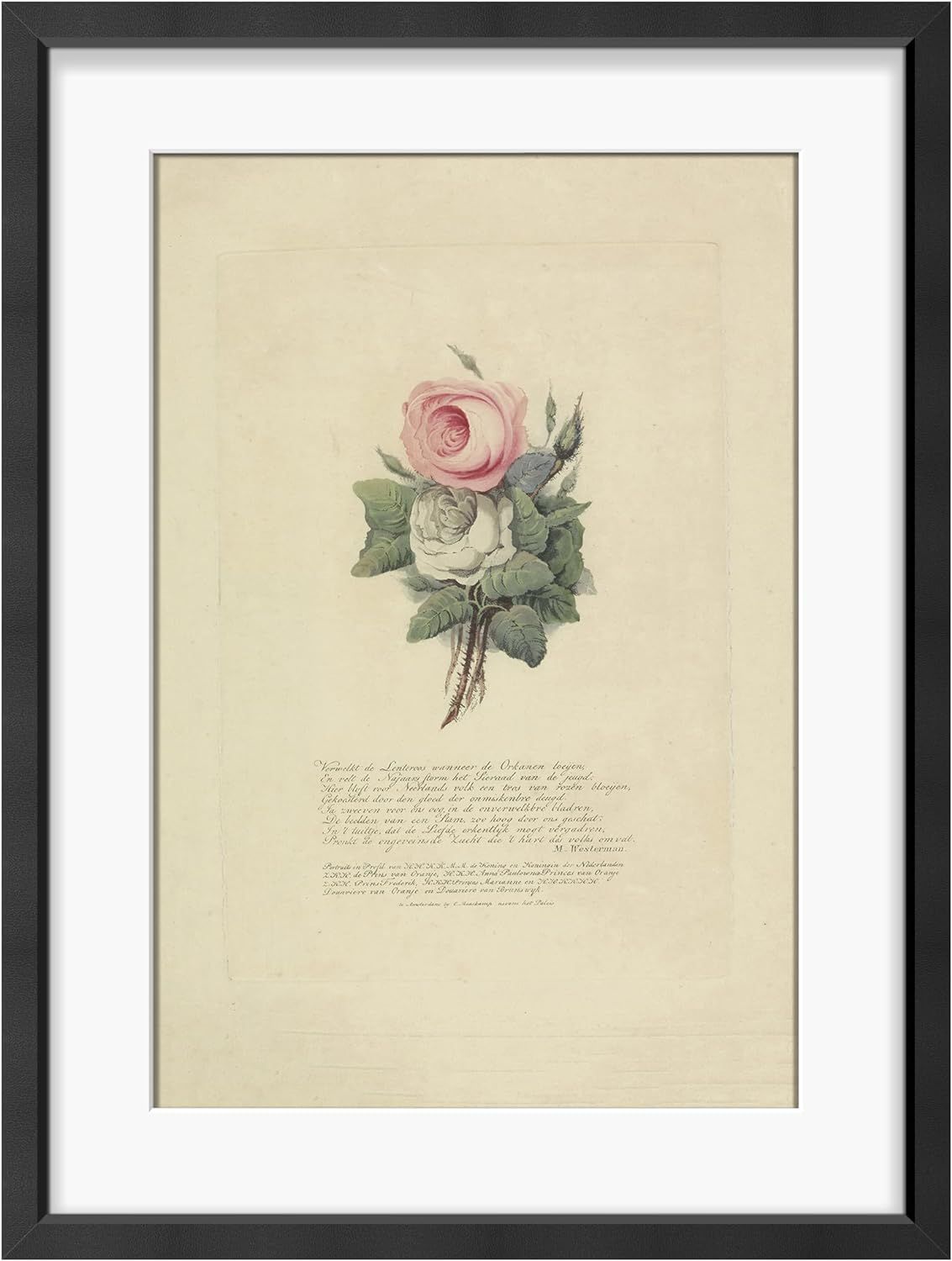 MUDECOR Framed Canvas Wall Art Classic Rose Antique Floral Illustration Relax/Calm Warm Artwork B... | Amazon (US)