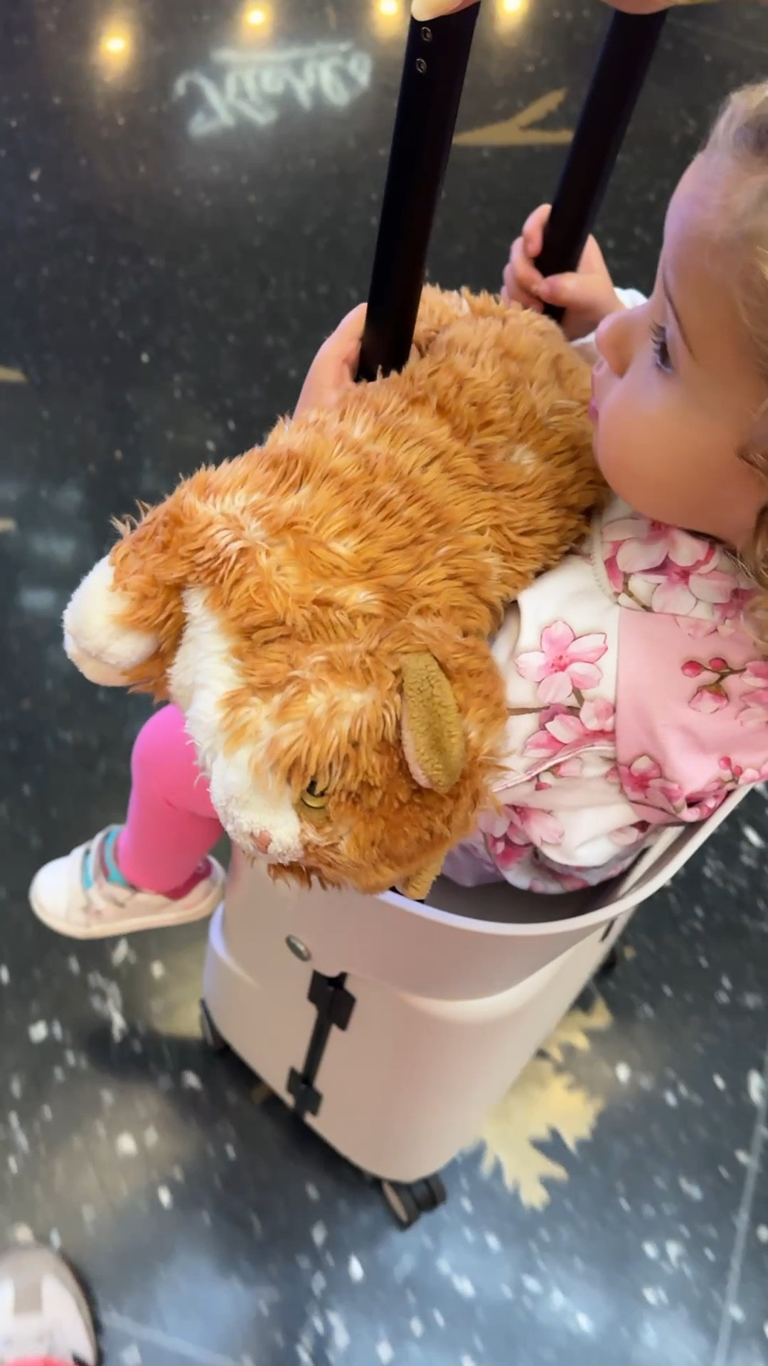 Must have for travel with toddlers 

#LTKKids #LTKFamily #LTKTravel