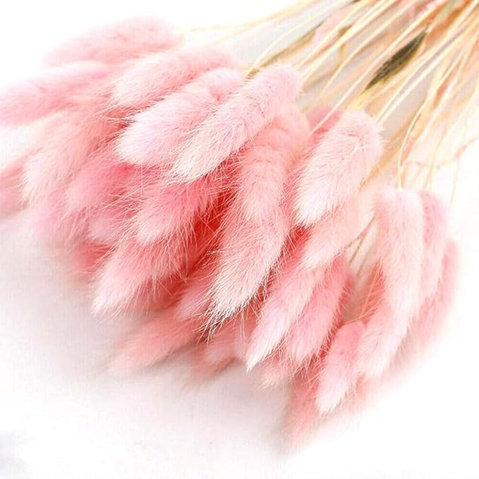 Home Decoration Lagurus Ovatus Rabbit Tail Dried Flowers, Real Flower, Eternal Flower Dried Grass... | Amazon (US)