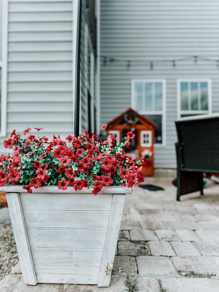 I do not have a green thumb. So we get these flowers for our planters. They stay beautiful all season and I never have to water them! 🤪

#LTKsalealert #LTKhome #LTKSeasonal