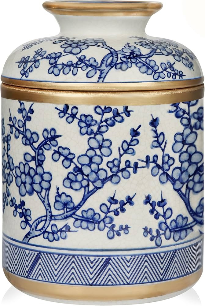 Tissue Vessel Round Ceramic with Lid – Elegant Blue and White Porcelain Round Ceramic Tissue Ho... | Amazon (US)