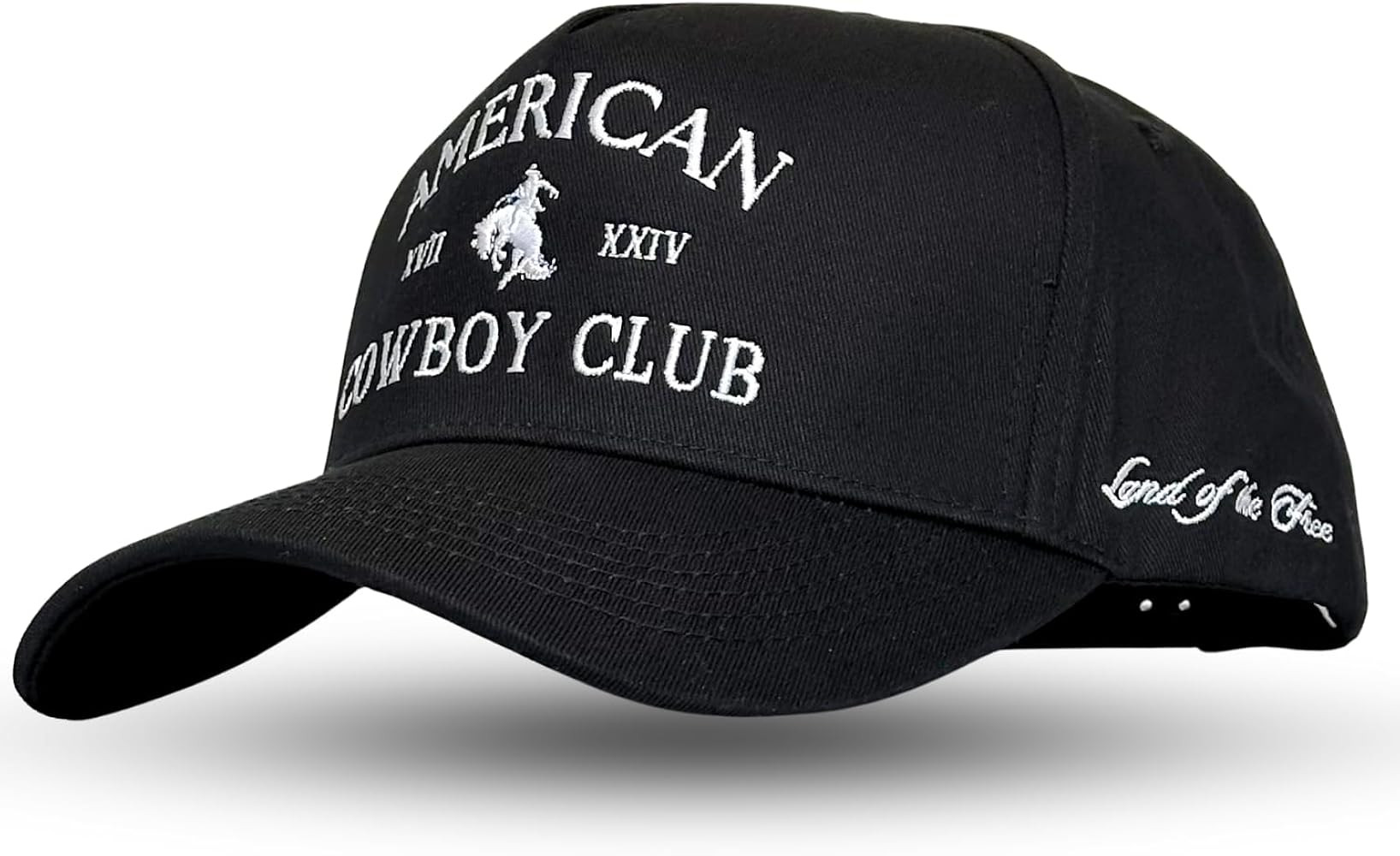 Vintage Trucker Hat | Country Cowboy Cute Preppy Retro Western Trucker Hats | Men Women Trendy Sn... | Amazon (US)
