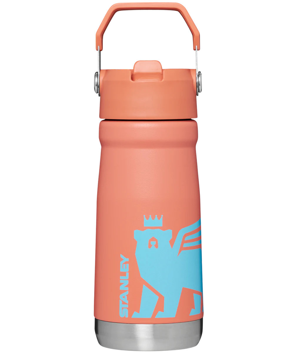 The Wild Imagination IceFlow™ Flip Straw Water Bottle | 17 OZ | Stanley PMI US