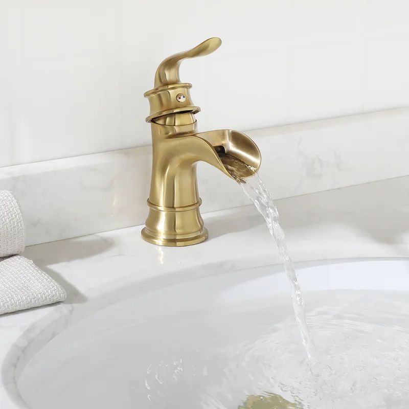 1434908 Single Hole Bathroom Faucet with Drain Assembly | Wayfair Professional