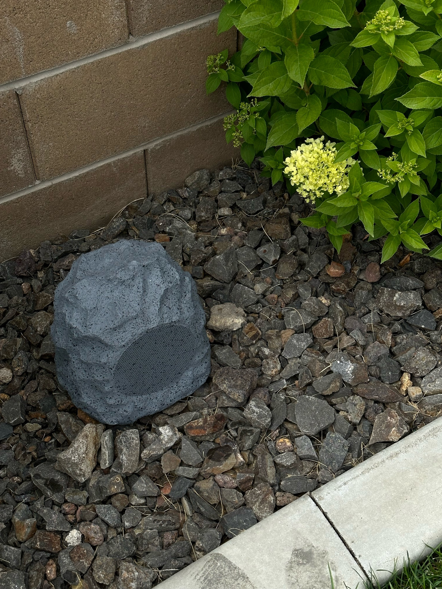 Outdoor Speakers 


#speakers #outdoor #backyard #home #family #movienight

#LTKSeasonal #LTKFind #LTKfamily