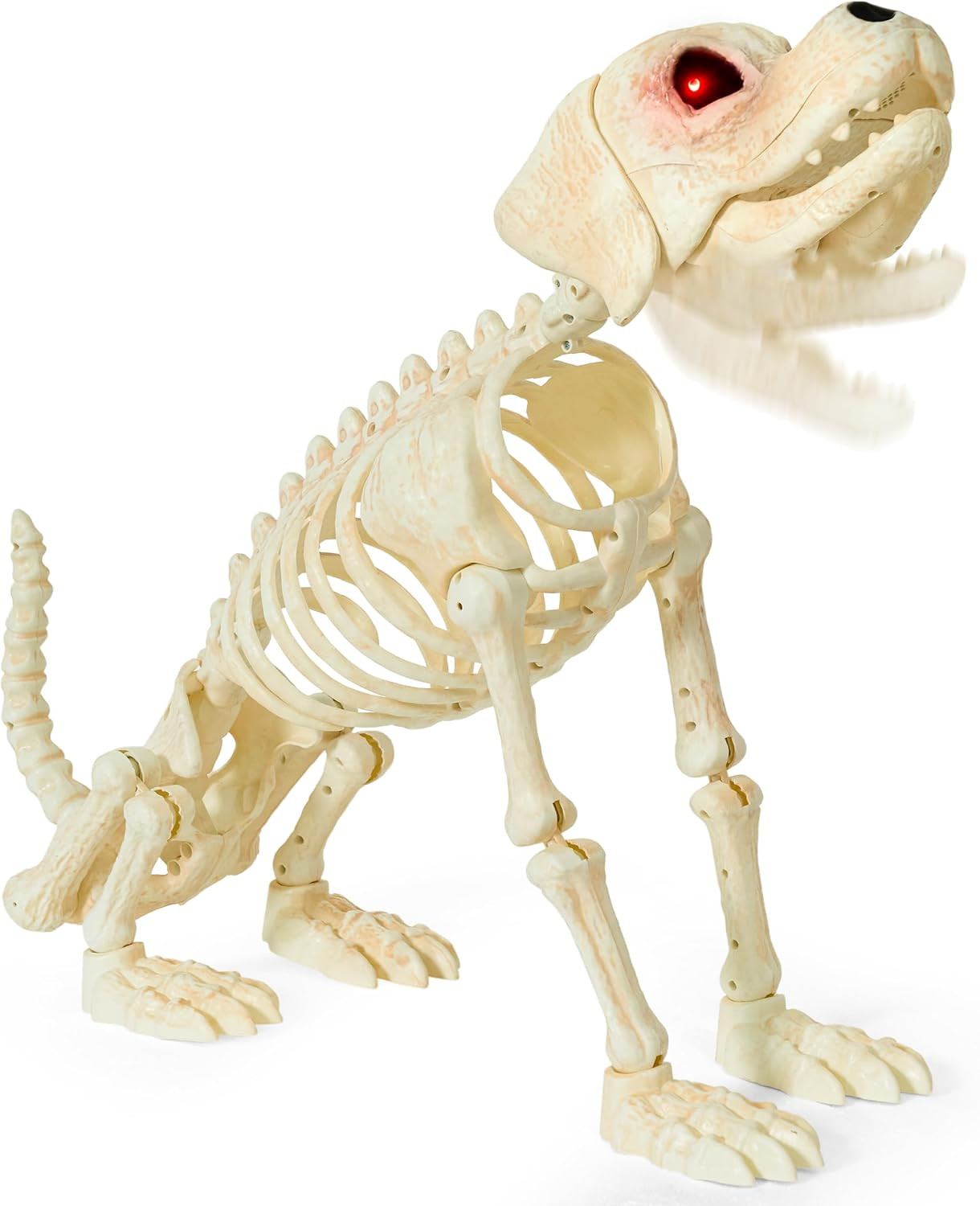 JOYIN Halloween Golden Retriever Skeleton 34” Animal Dog Plastic Skeleton with Glowing LED Eyes & Spooky Sounds, Moving Jaw, Posable Joint for Haunted House, Yard Graveyard, Indoor Outdoor Decor | Amazon (US)