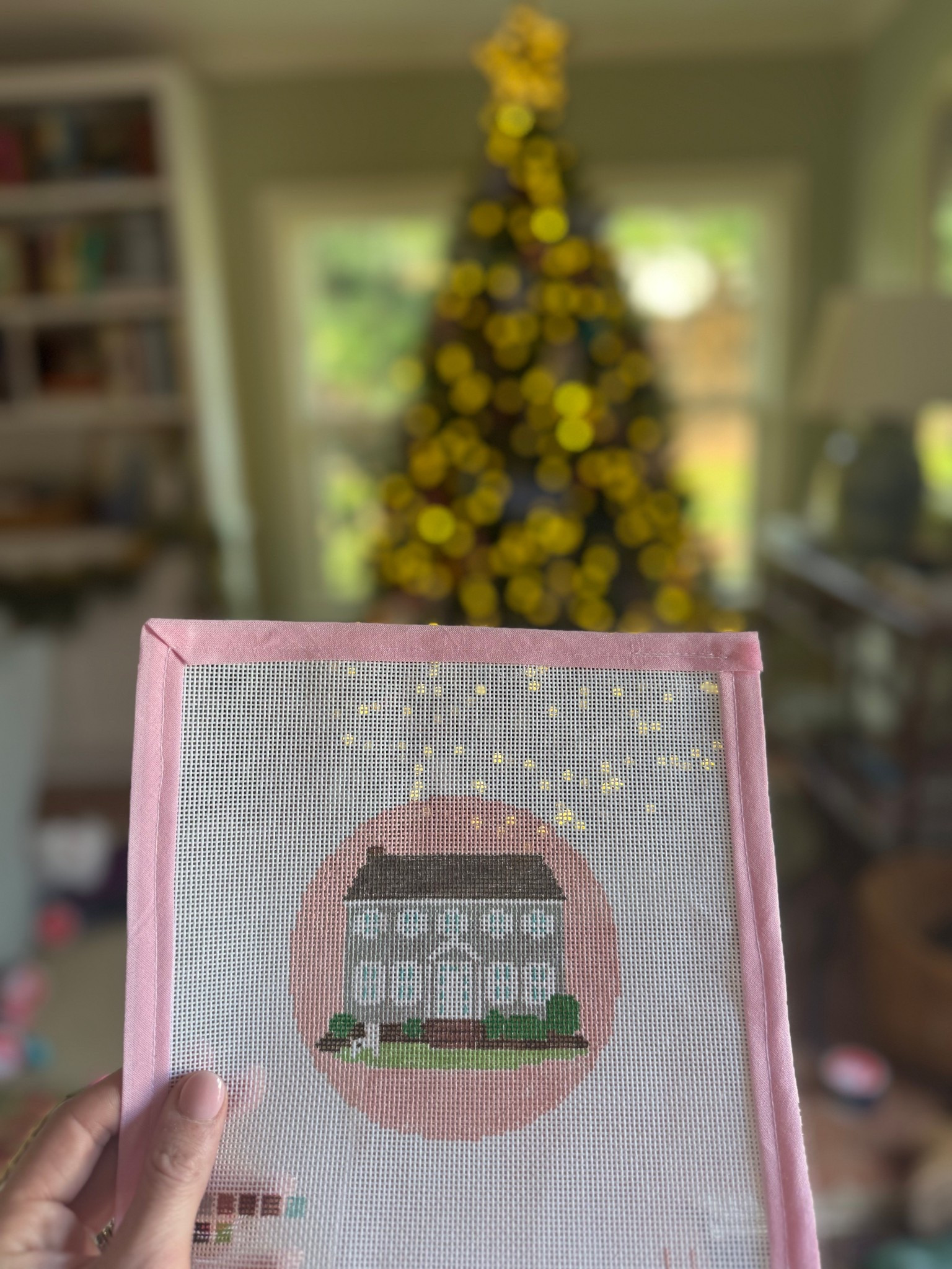 Custom house needlepoint canvas! 