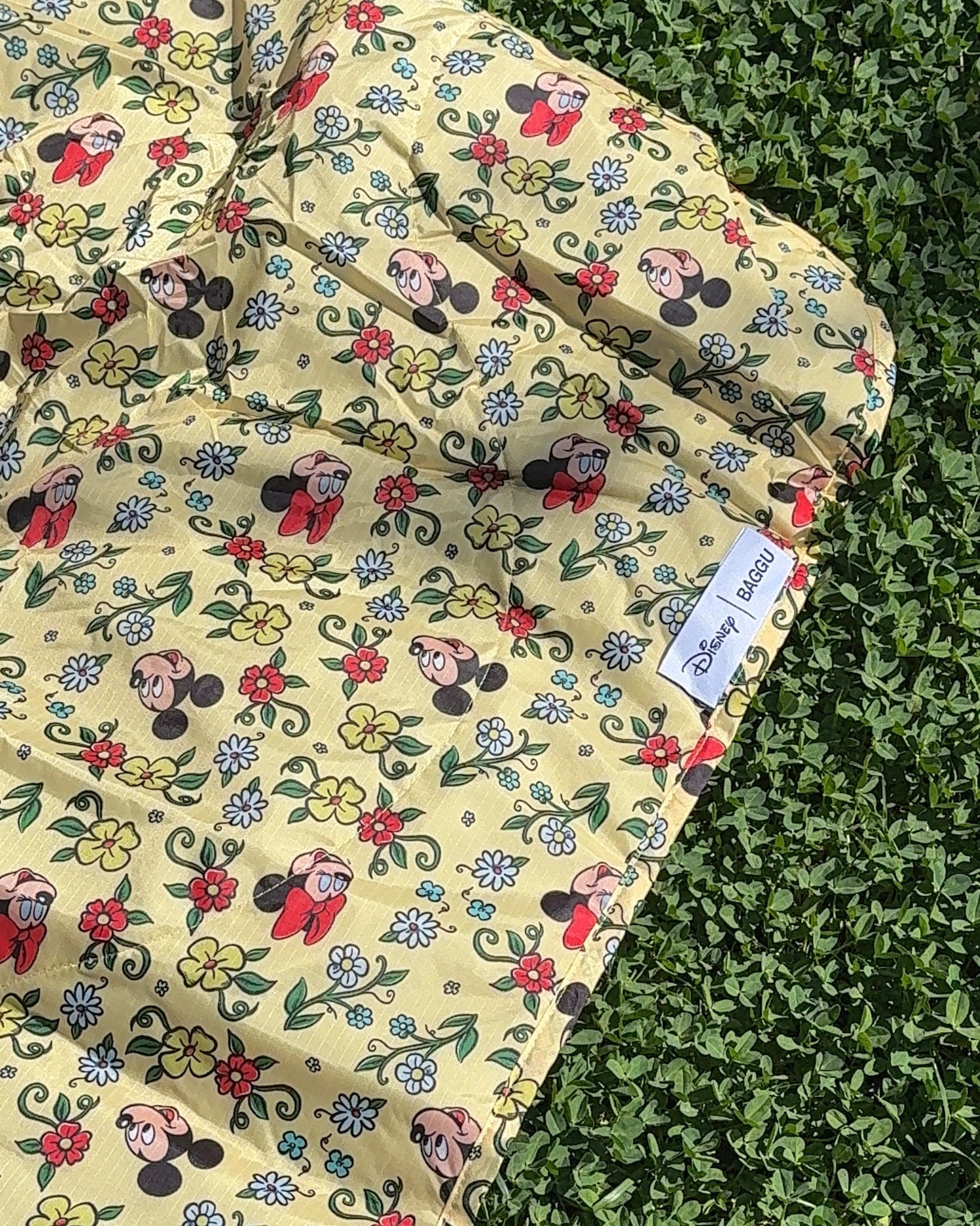 Picnic blanket 🐭🧺

#LTKmomlife #LTKBaby #LTKSeasonal