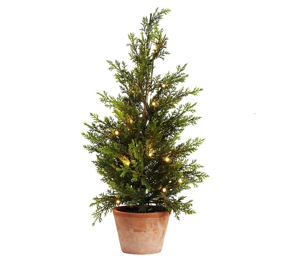 Lit Juniper Trees, Green - 24&amp;quot; | Pottery Barn (US)