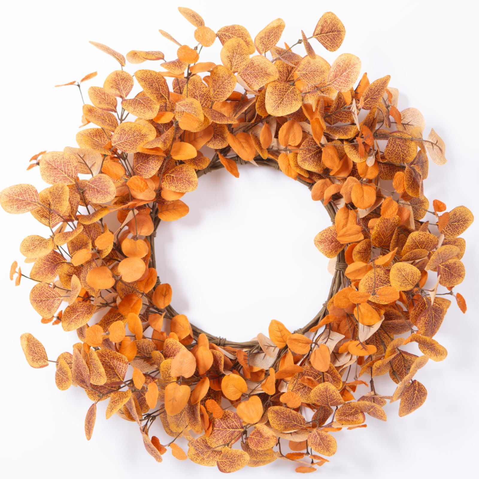 Fall Wreaths for Front Door 22 Inch Autumn Outdoor Wreath with Eucalyptus Leaves,Orange Artificia... | Amazon (US)