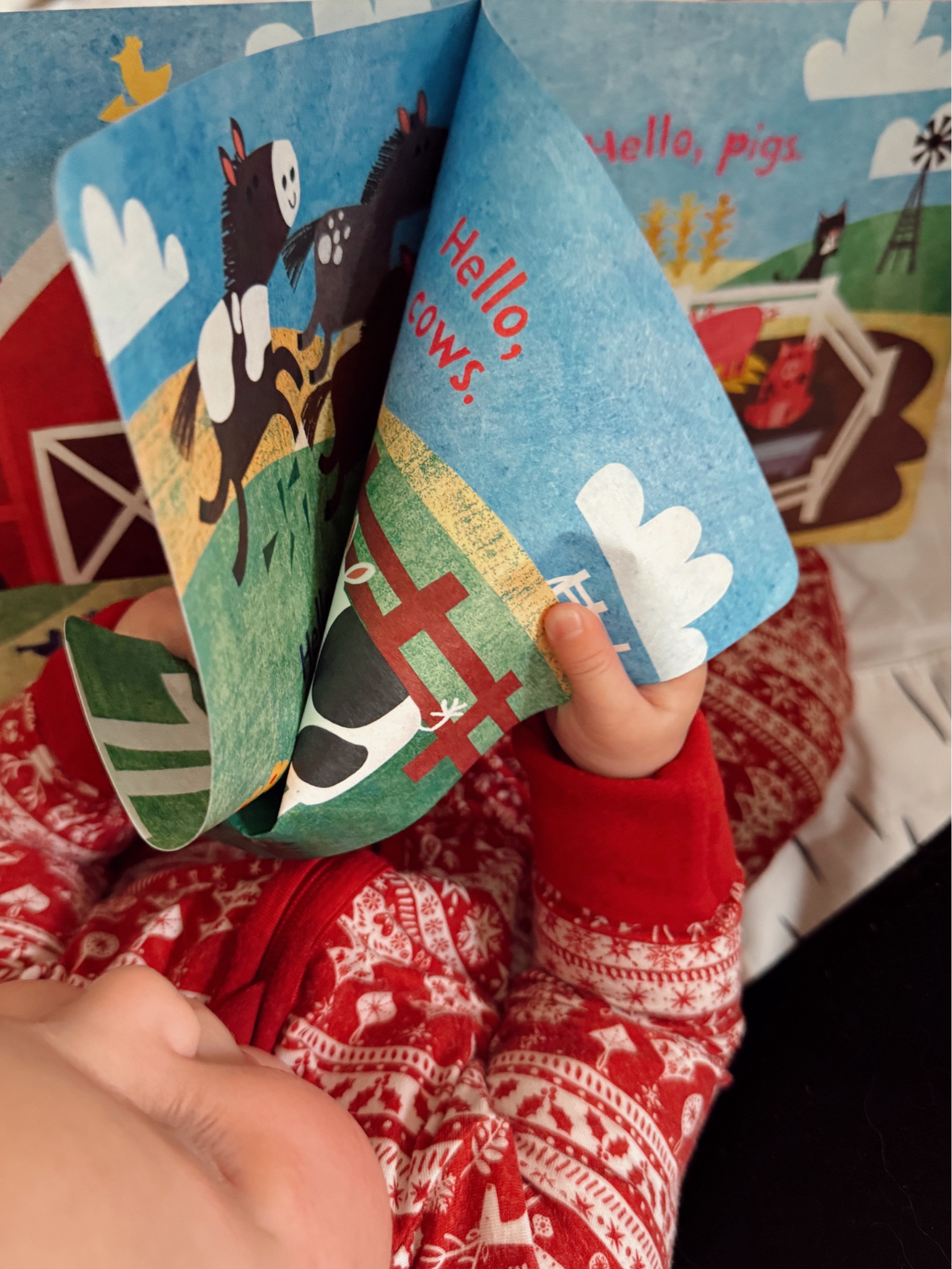 Our little one absolutely adores her Indestructibles books! 💕 They're the perfect addition to her growing library—chew-proof, rip-proof, and washable (because, let’s face it, babies can be messy 😅). 'Hello, Farm!' is one of her favorites right now; she loves the bright colors and fun animals. These books are a lifesaver for keeping her entertained and are built to survive all the love she gives them! 🐄📚 #BabyFavorites #Indestructibles #MomLife #HelloFarm #BabyBooks

#LTKKids #LTKFamily #LTKBaby