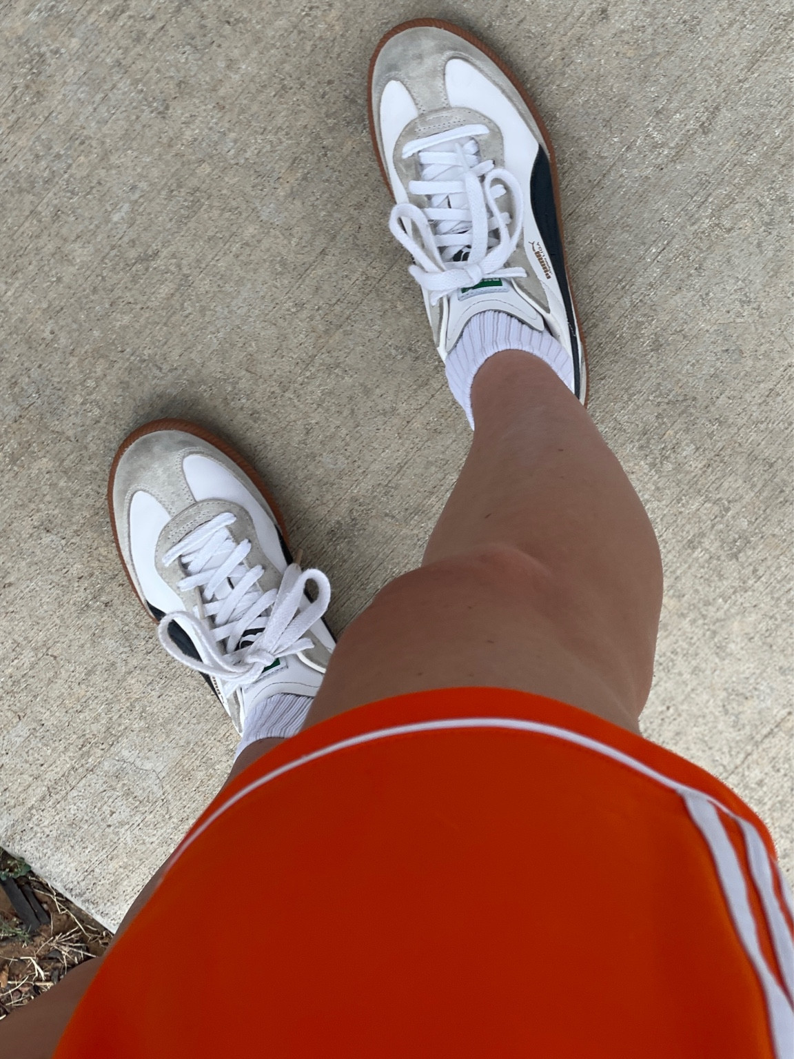 adidas gazelle silver green womens Puma PALERMO LTH PUMA WHITE/VAPOR GRAY/CLYDE ROYAL  MIDS&LOWS