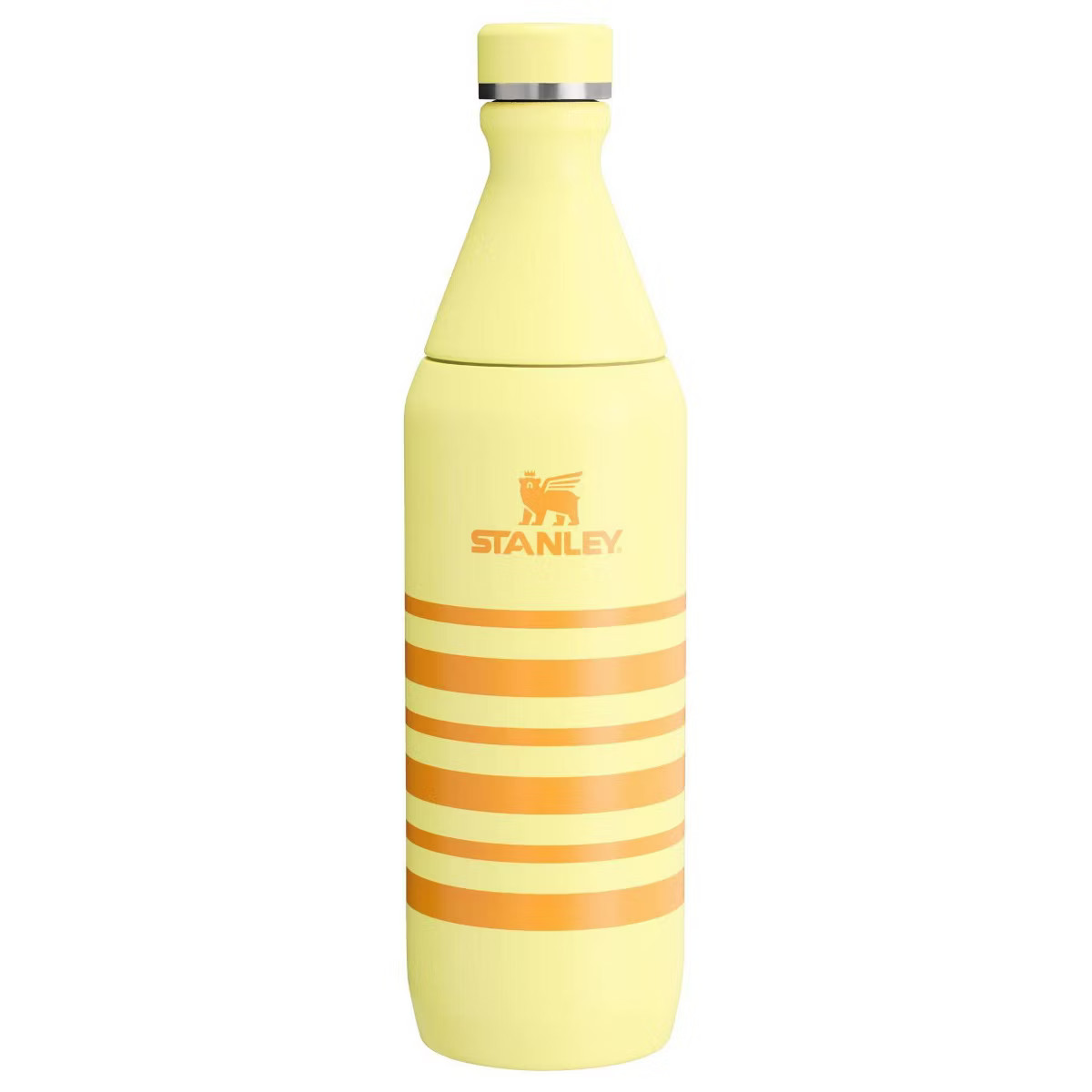 Stanley 20 oz Stainless Steel All Day Slim Bottle | Target