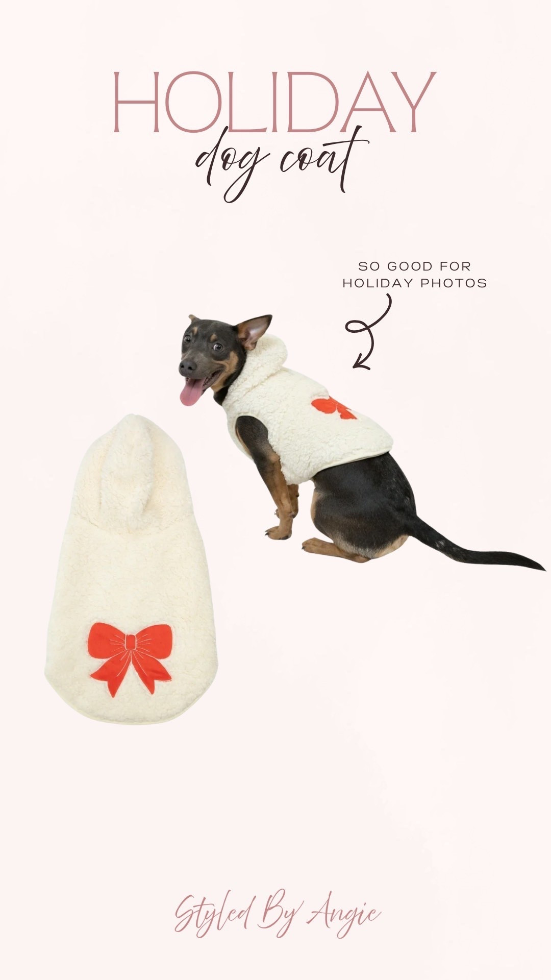 This $12 dog coat is absolutely adorable and perfect for family holiday photos. It’s super soft and hopefully your pup won’t don’t wearing it! 
Family photo, dog coat 

#LTKHoliday #LTKFindsUnder50 #LTKSeasonal