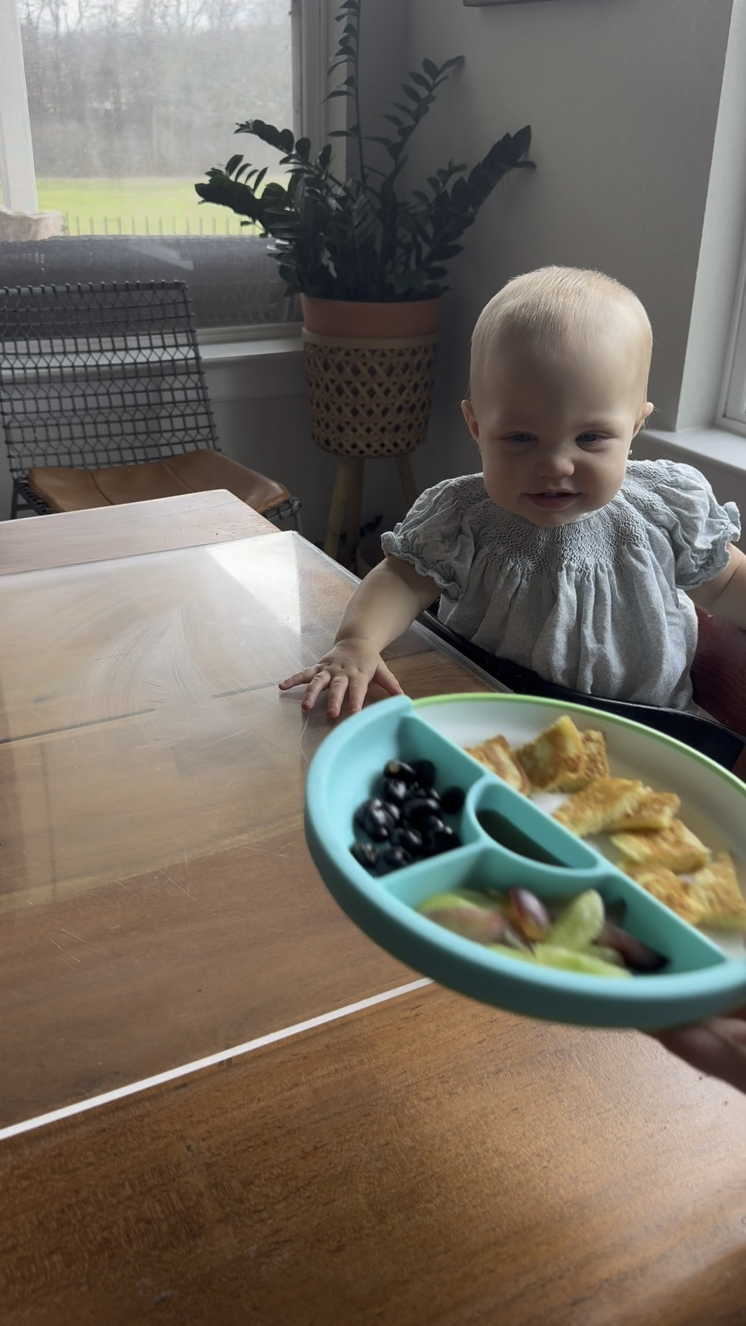 Nontoxic kids plate!

#LTKFamily #LTKBaby #LTKKids