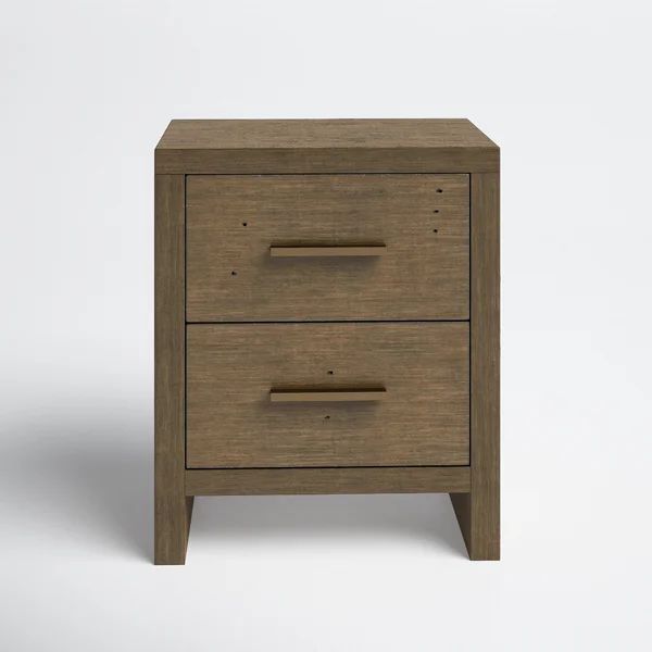 Nikolas 2 Drawer Nightstand | Wayfair North America