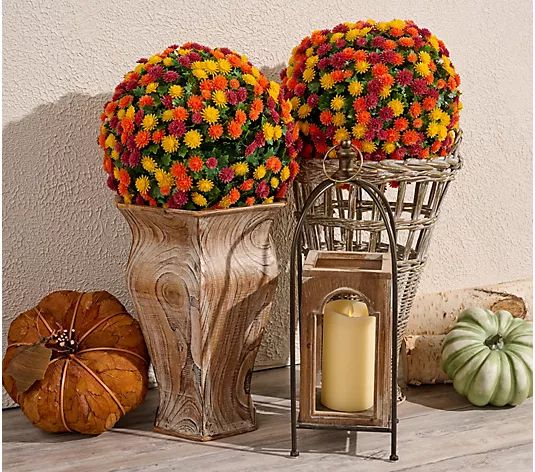 Wicker Park Set of 2 Oversized Harvest Faux Mum Spheres - QVC.com | QVC