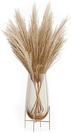 OMME Dried Pampas Grass Phragmites Large Natural (Tan, 17) | Amazon (US)