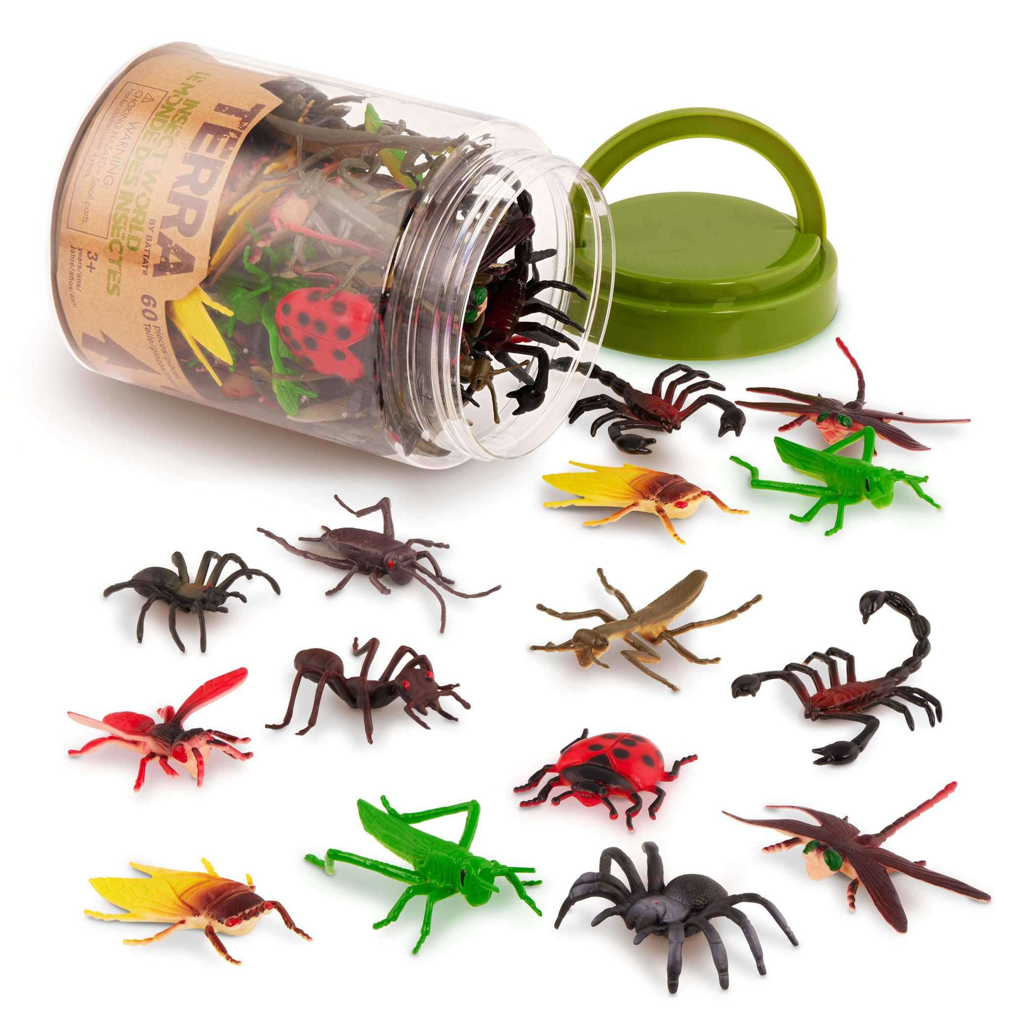 Terra by Battat – Toy Bugs & Insects Tube – 60 Mini Figures in 12 Realistic Designs – Toy A... | Amazon (US)