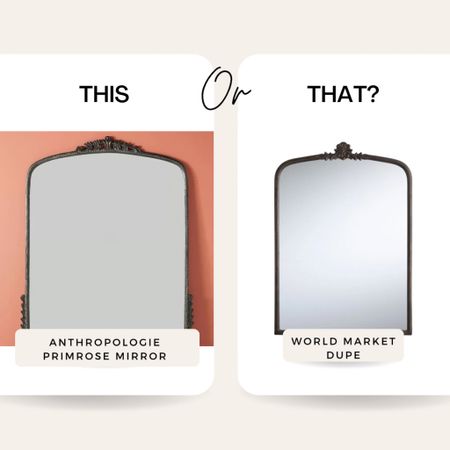 This or That!
Anthropologie Primerose Mirror ($548-$1578)
World Market Dupe $149

#LTKFind #LTKhome