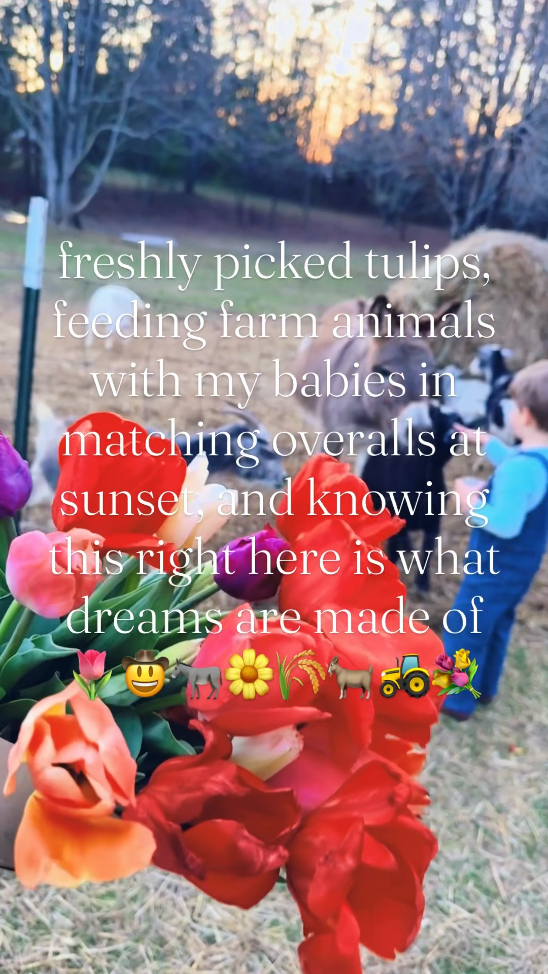 This truly is what dreams 💭 are made of 👶🏼🧺🌷🐐💐 #tulipsandbabies #favoritetimeofyear #thesearethedays #sweetspringmemories #thelittleyears 
