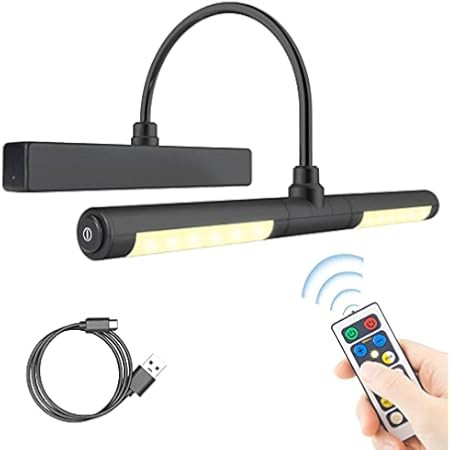 BIGLIGHT Wireless Battery Operated LED Picture Light with Remote, 13 Inches Rotatable Light Head wit | Amazon (US)