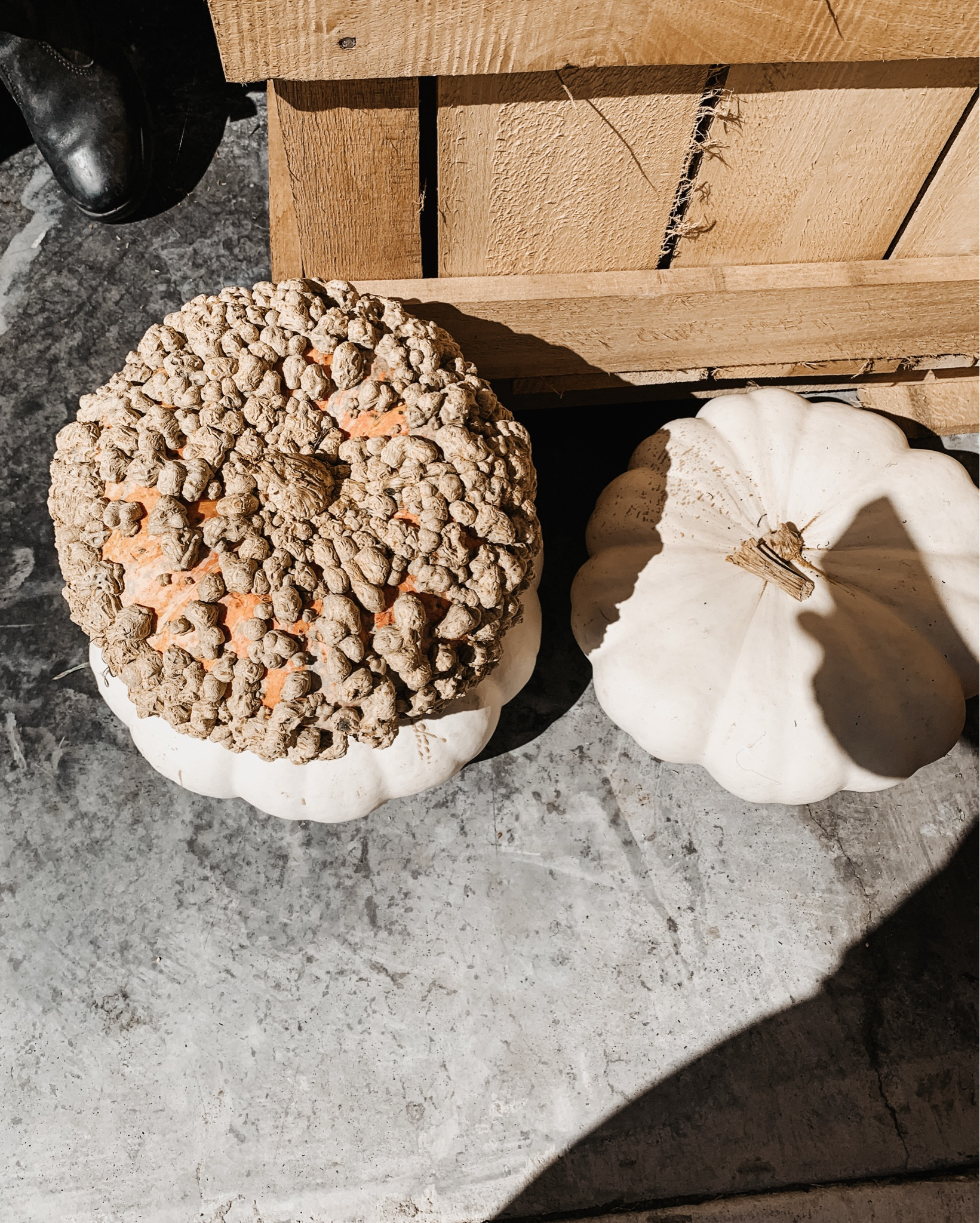 Savoring these last sunny days at the farmers market 🍁 

Thanksgiving 
Thanksgiving decor 
Hosting 
Holidays 

#LTKFamily #LTKSeasonal #LTKHoliday