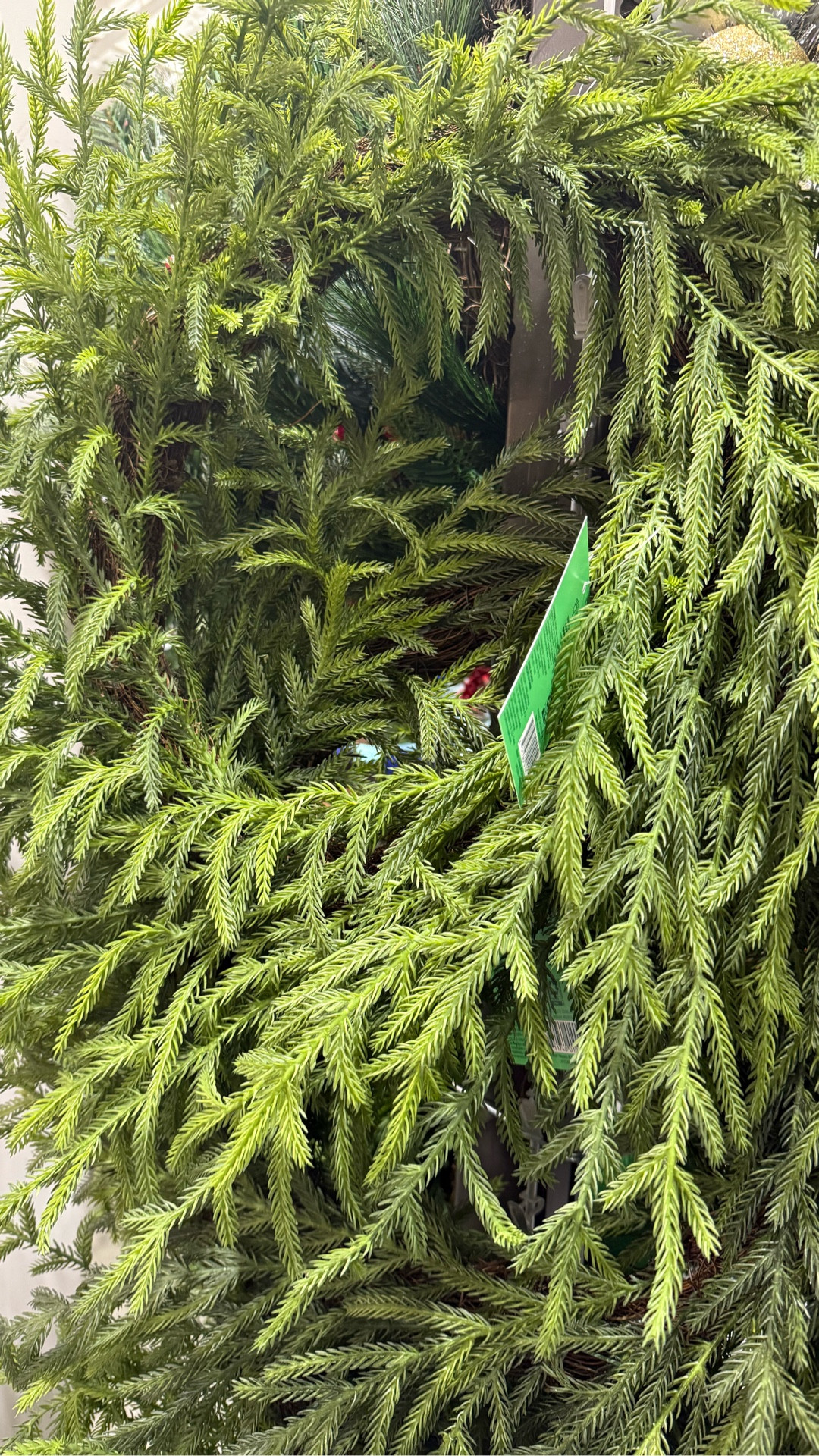 Lowe’s stepping up their Christmas decor! The quality is so so good and just like others I’ve spent double for. Real feel soft touch cedar and Norfolk Pine garlands! The Norfolk Pine wreath was full and good quality too! 
#christmasdecor #lowesfinds #seasonaldecor #deckthehalls #garland #wreaths #christmas #christmastrees #affordabledecor 

#LTKSeasonal #LTKHoliday #LTKHome