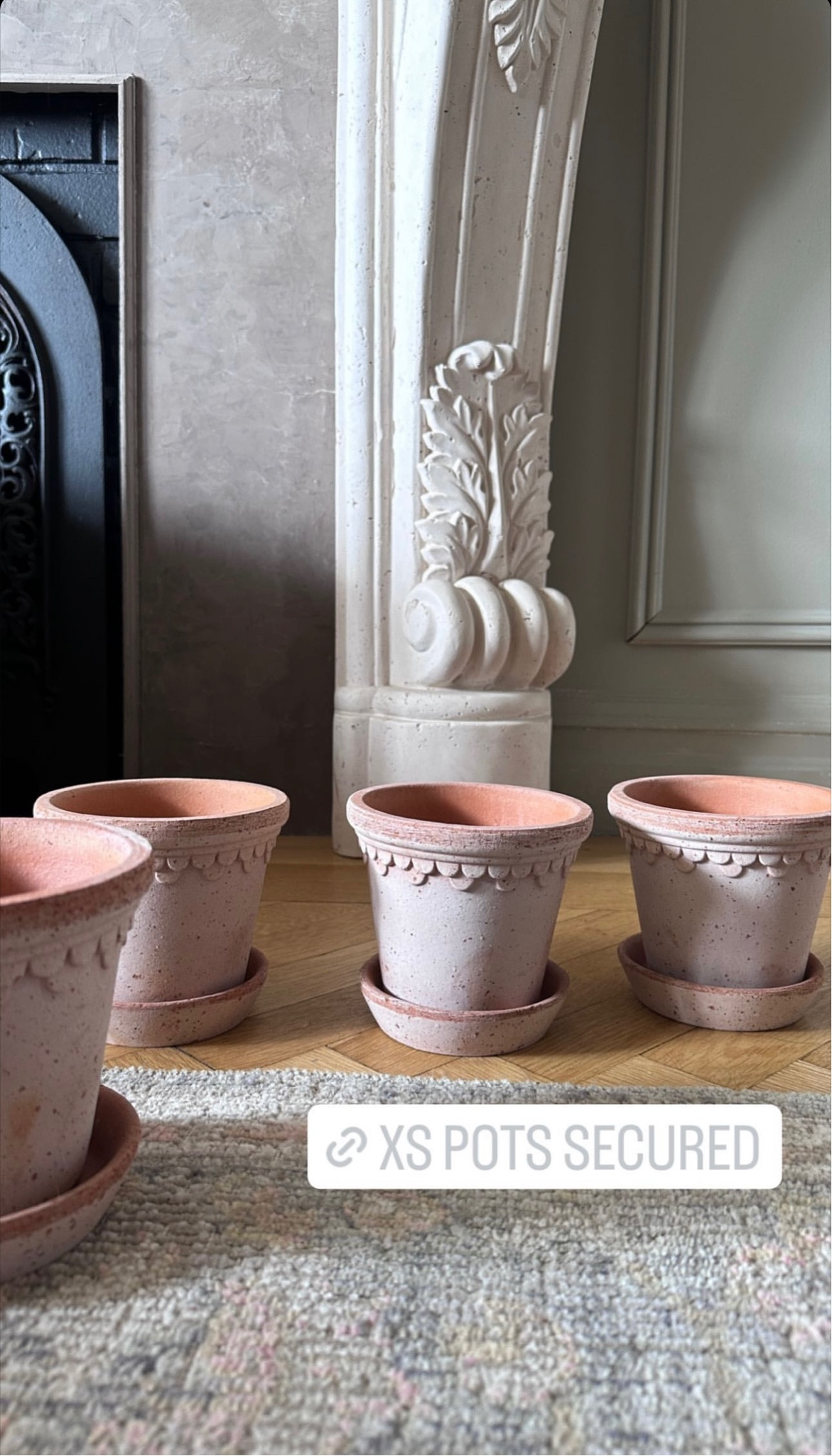 terracotta pots 

#LTKhome