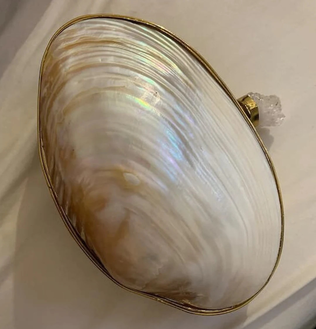 Indian handcrafted Sea shell clutch bag, clam shell, original Pāua bag, oyster clutch unique pur... | Etsy (UK)