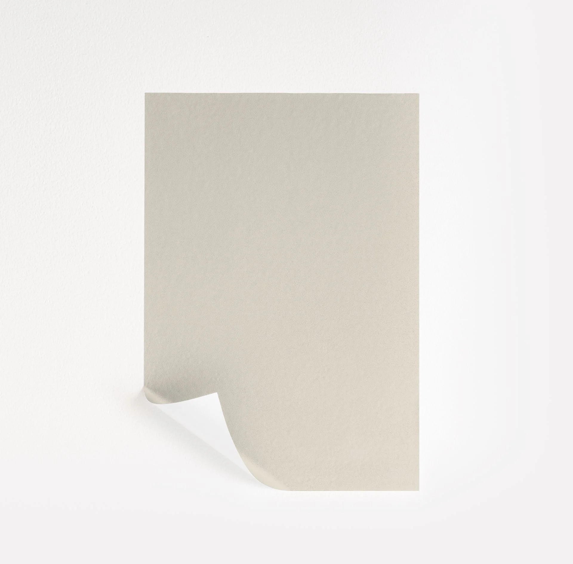 Natural Choice  Paint Sample | Samplize