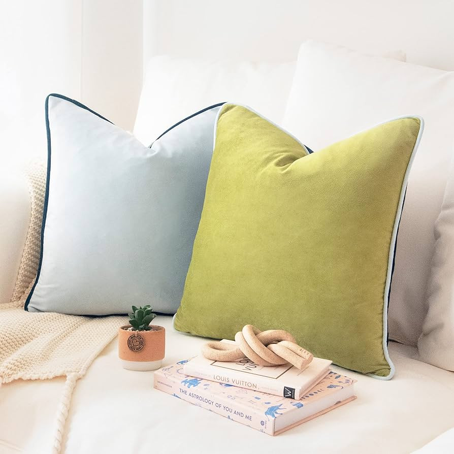 MONDAY MOOSE Decorative Throw Pillow Covers Cushion Cases, Set of 2 Soft Velvet Modern Double-Sid... | Amazon (US)